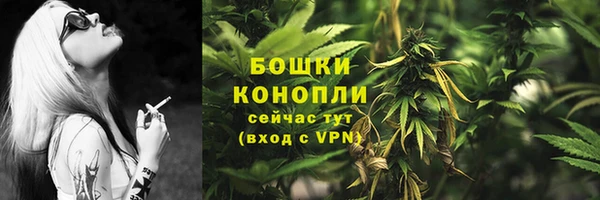spice Ельня