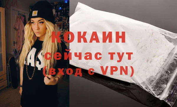 spice Ельня