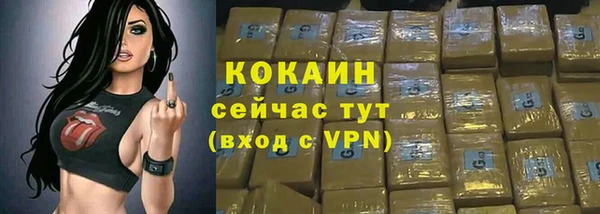 spice Ельня