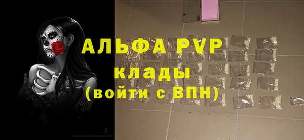 spice Ельня