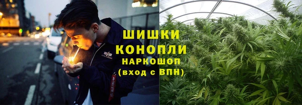 spice Ельня