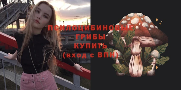 Альфа ПВП Елабуга